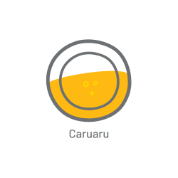 Logo - Chopp Express - Caruaru